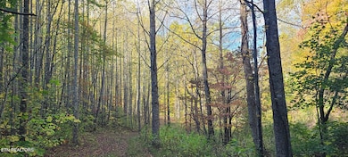 PAR 033.01 S Highway 32, Cosby, TN 37722 - photo 6