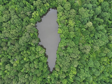 214 Gessler Rd, Benton, MS 39039 - photo 3