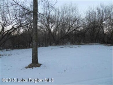 38638 Eldorado Beach Rd, Battle Lake, MN 56515 - photo 5