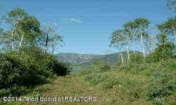 Views to the East Mountains
