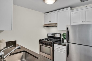 Parris Landing unit 3508, Charlestown, MA 02129 - photo 6