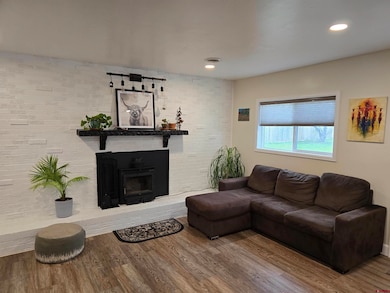 5087 Colorado 348, Delta, CO 81416 - photo 6