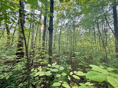 .55A On N Scipio Ave, Bass Lake, WI 54843 - photo 6