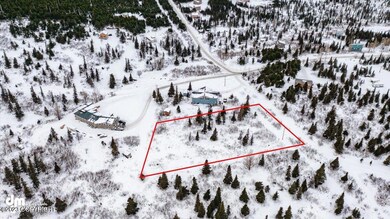 Arial with Site Outlined