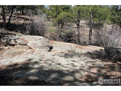 280 Timber Trail, Livermore, CO 80536 - photo 6