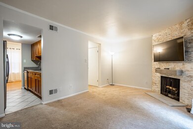 9025 Lambskin Ln, Columbia, MD 21045 - photo 5