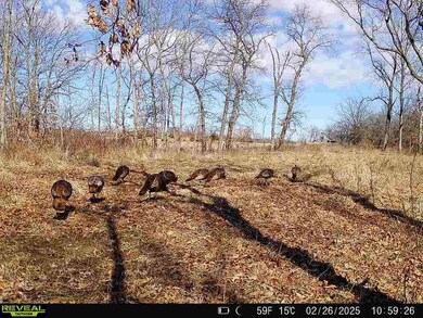 0 Violet Rd, Reger, MO 64630 - photo 7