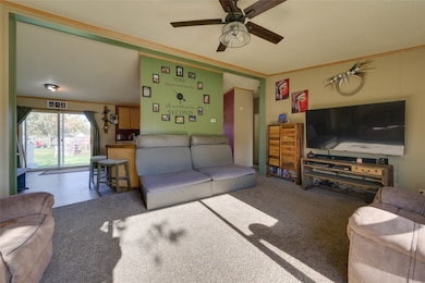 Living area featuring ornamental molding, carpet, and ceiling fan