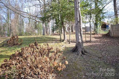 99999 London Rd, Asheville, NC 28803 - photo 3