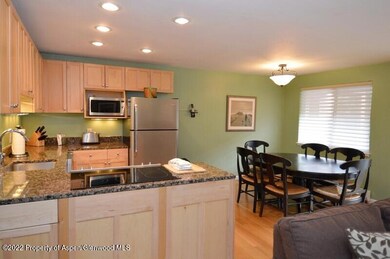 940 Waters Ave unit 307, Aspen, CO 81611 - photo 7