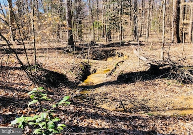 12357 Purcell Rd, Manassas, VA 20112 - photo 4