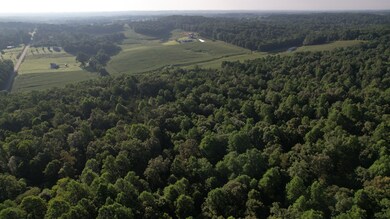 0 Rock Springs Rd unit RTC2964004, Cumberland Furnace, TN 37051 - photo 7