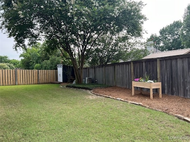 back yard
