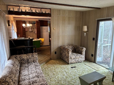 366 Gander Gap Rd, Hiawassee, GA 30546 - photo 4