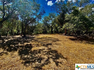 0 Rockwood unit 521855, Wimberley, TX 78676 - photo 3