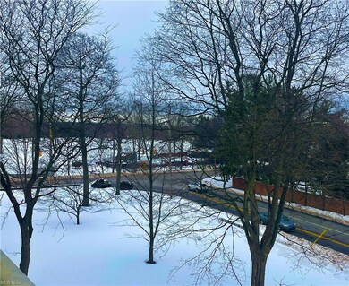 View on Tallmadge and North Portage Path(Portage C
