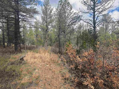 0 Summer Dr unit 171889, Timberon, NM 88350 - photo 5