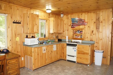 8085 Fisher TRL, Newberry, MI 49868