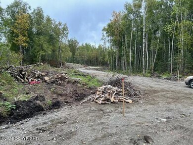 3120 W Riverdell Dr, Knik-Fairview, AK 99654 - photo 6