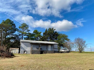 5706 Farm To Market Road 69, Quitman, TX 75783 - photo 5
