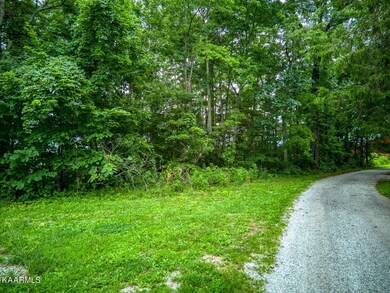 4-web-or-mls-DJI_0697_6