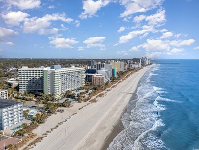 Bird's eye view of extended coastline