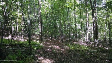 1710 Beaver Pond Rd, Clarks Summit, PA 18411 - photo 2