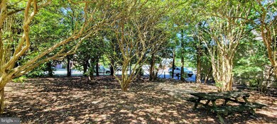 703 Alvin Ave, Salisbury, MD 21804 - photo 6