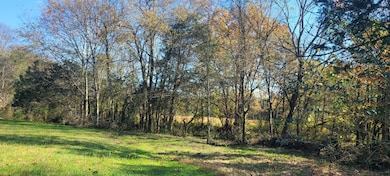 8 Farris Ln, Shelbyville, TN 37160 - photo 4