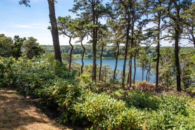 View as you enter back yard
