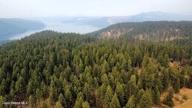 NKA-1 Bill Morris Rd, Plummer, ID 83851 - photo 3