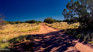 2807 S Goldenrod Dr, Williams, AZ 86046 - photo 6
