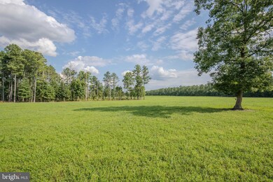 0 Green Level Rd unit VAKW2000190, King William, VA 23009 - photo 3