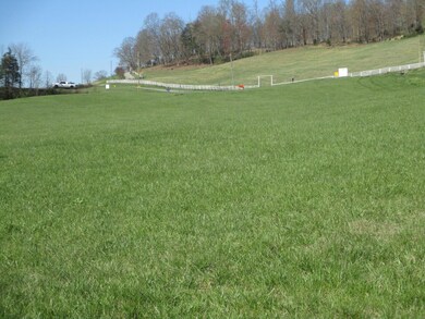 04 IMG_3929