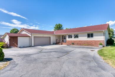 All View Ln-6