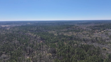 P#4 Tbd Us 190, Point Blank, TX 77364 - photo 5