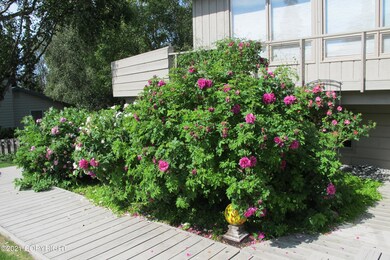 Olson Flowers