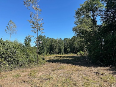 0 Newman Rd unit 22348697, Mobile, AL 36695 - photo 4