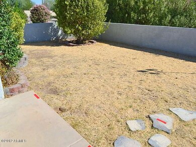 023-257997-backyard-7