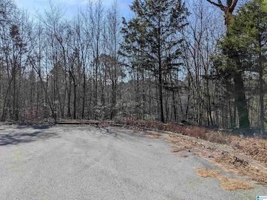 0 (Lot 242) Winfrey Ln unit 242, Anniston, AL 36206 - photo 7