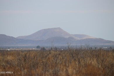 IMG_060