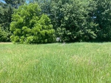 1220 Snyder St, Wisconsin Rapids, WI 54494 - photo 2