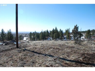 0 Timber unit 68 12326467, Bickleton, WA 99322 - photo 3