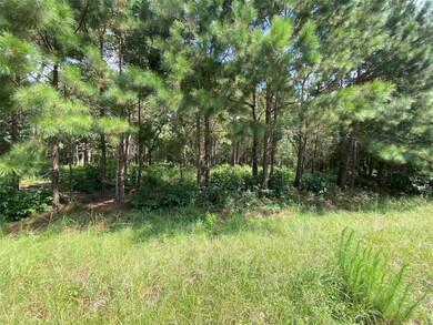 24340 Oak Hollow Blvd, Hockley, TX 77447 - photo 4