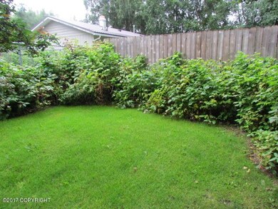 Back Yard Raspberry Bushes