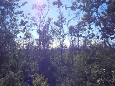 0 Paradise Pkwy unit 251488, Ocean View, HI 96737 - photo 6