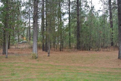 365 Hogans Way, Chewelah, WA 99109 - photo 6