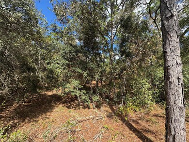 3341 W Wilhelm St, Citrus Springs, FL 34433 - photo 6