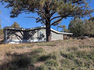 472 Haystack Cir, Pagosa Springs, CO 81147 - photo 5