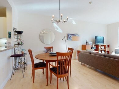 113 Richdale Ave unit 22, Cambridge, MA 02140 - photo 6
